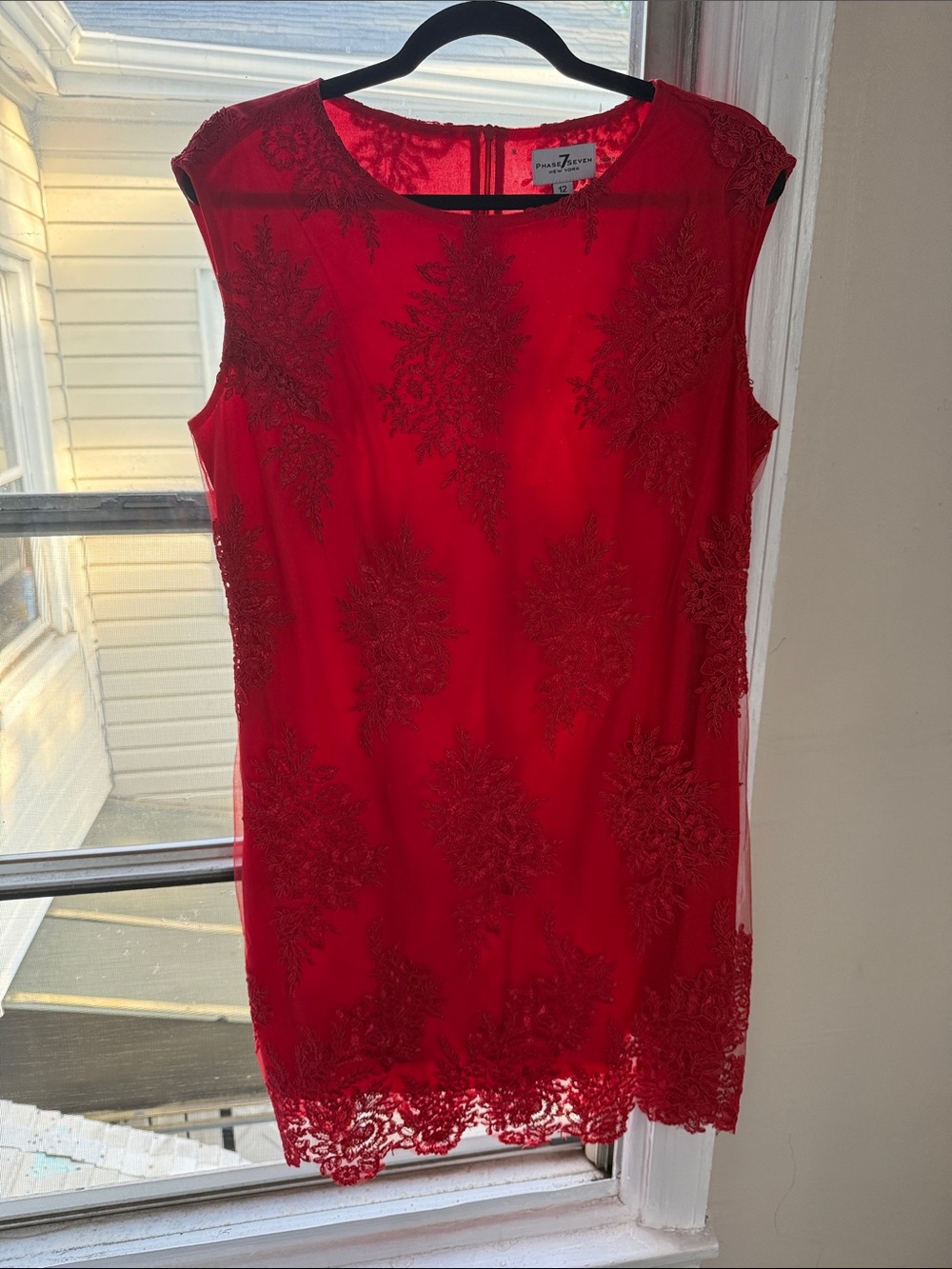 Phase Seven Red Lace-Trim Dress (Size 12)